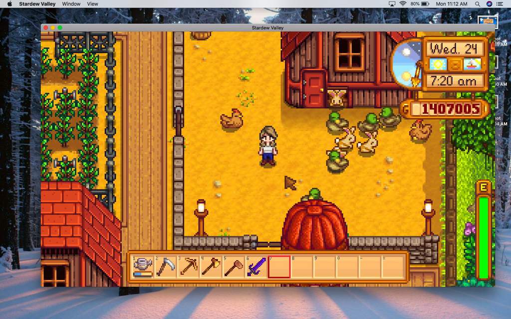 Free chicken coops plans Stardew Valley Witch Flew Over 