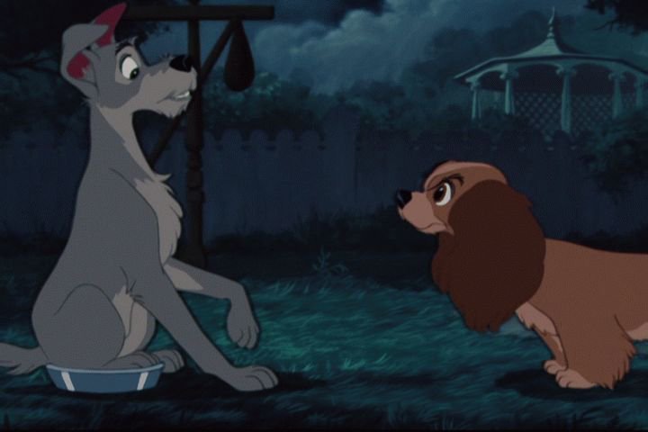 lady and the tramp dogs fight