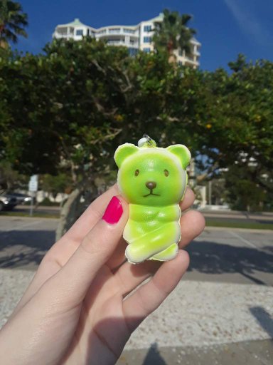 orbeez squishy frog