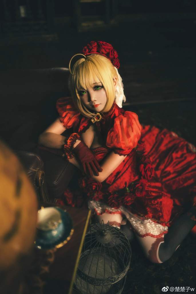 Nero Claudius 🌹fategrand Order🌹 Cosplay By 楚楚子w😍👌 Anime Amino 5690