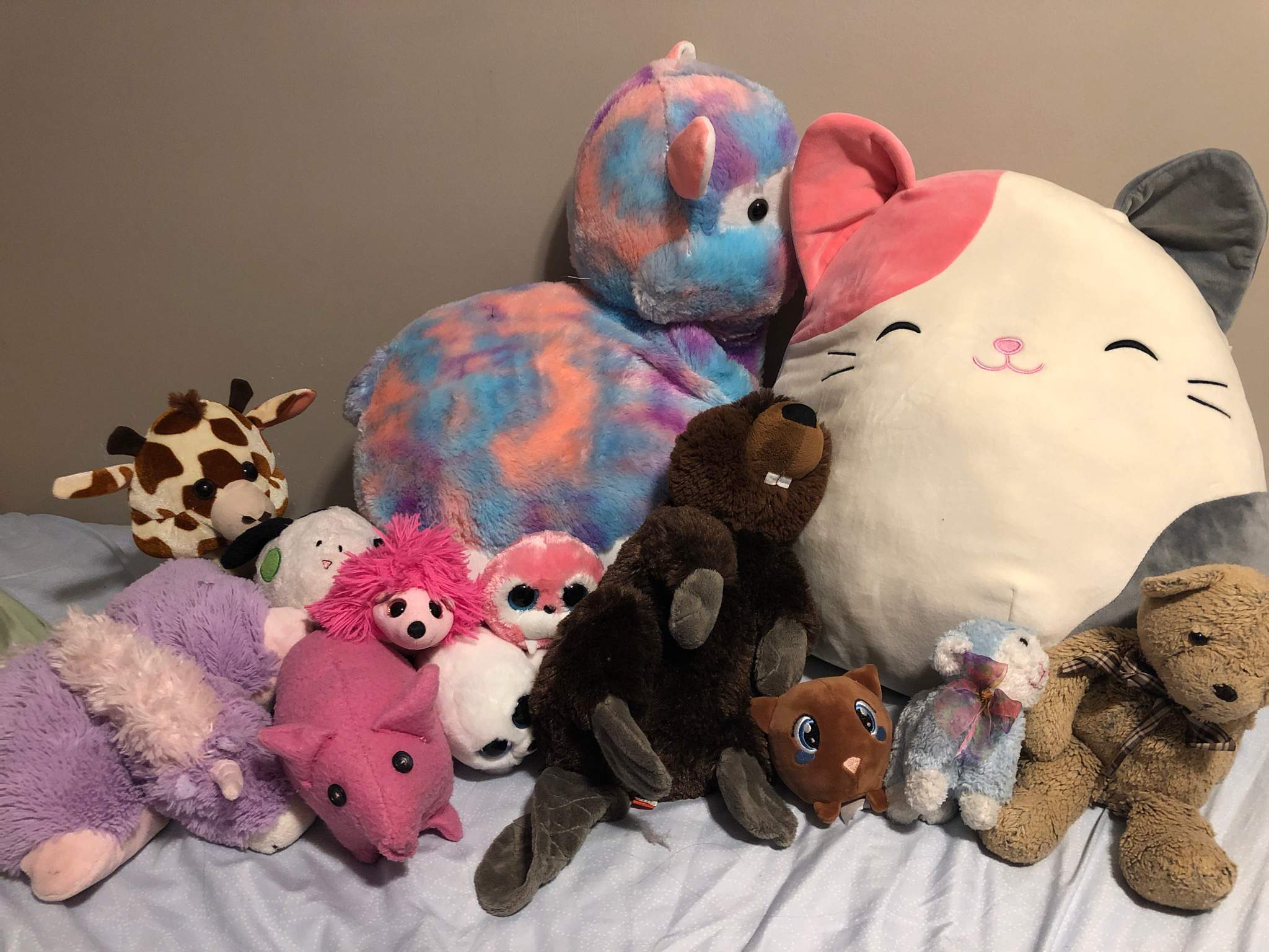 My favourite stuffed animals and the stories behind them! | Autistic ...