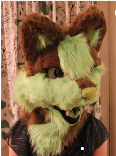 Cheap Fursuit Makers And Props | Wiki | Furry Amino