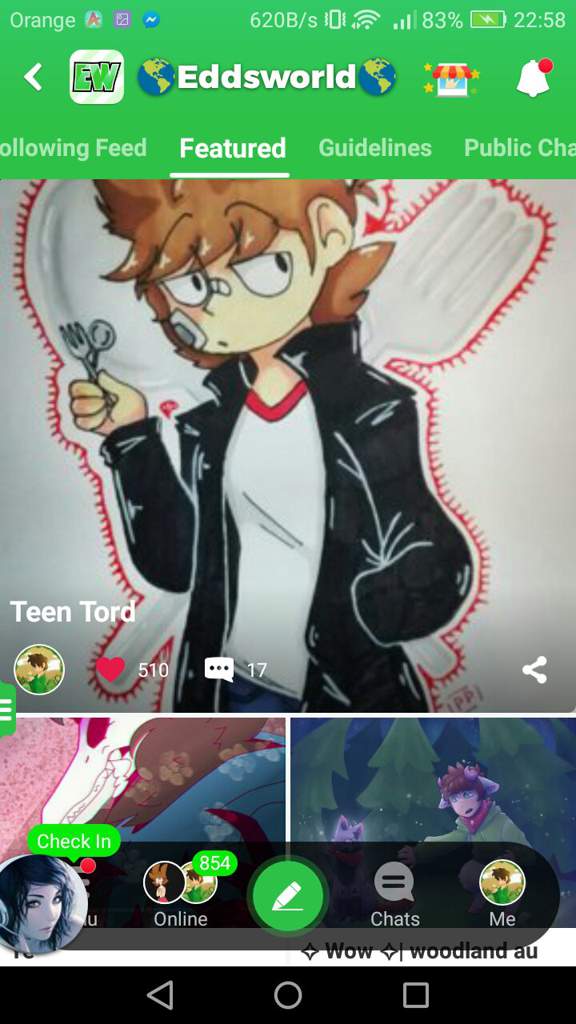 Teen Tord