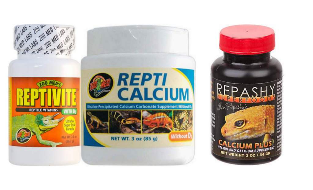 Leopard gecko shopping list Wiki Reptiles Amino