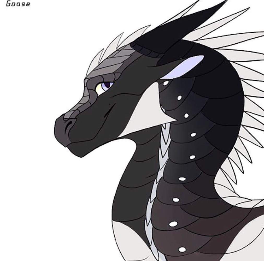 N⃟o⃟r⃟t⃟h⃟ | Wiki | Wings Of Fire Amino