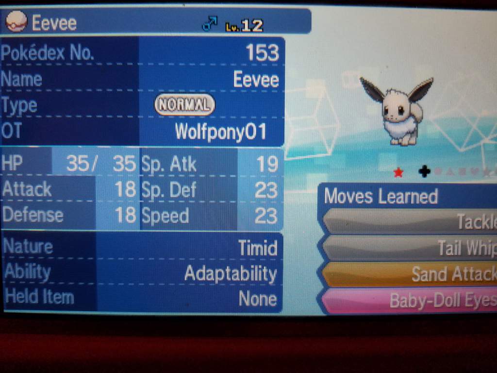 Shiny Eevee Catch Shiny Pokemon Amino Amino