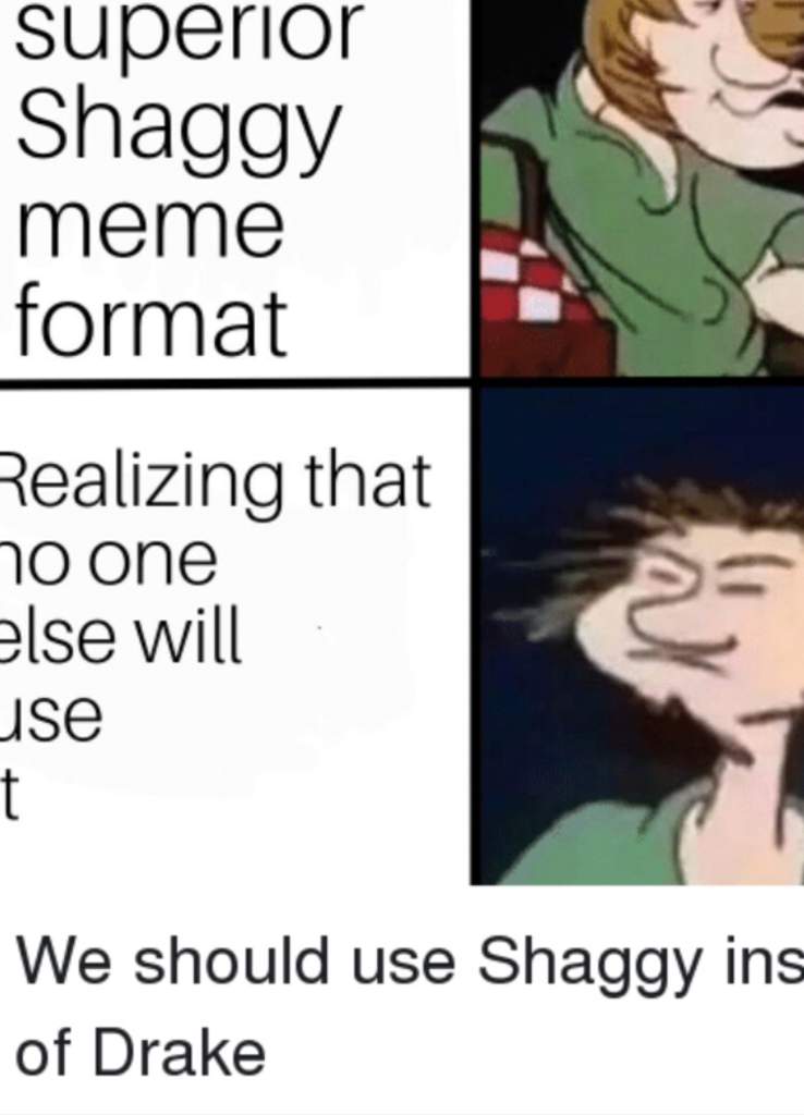 You made me use 10% of my shaggy memes. 