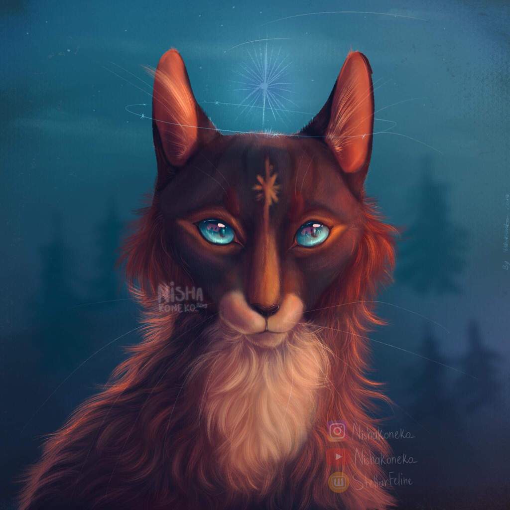 My Cat fursona | Furry Amino