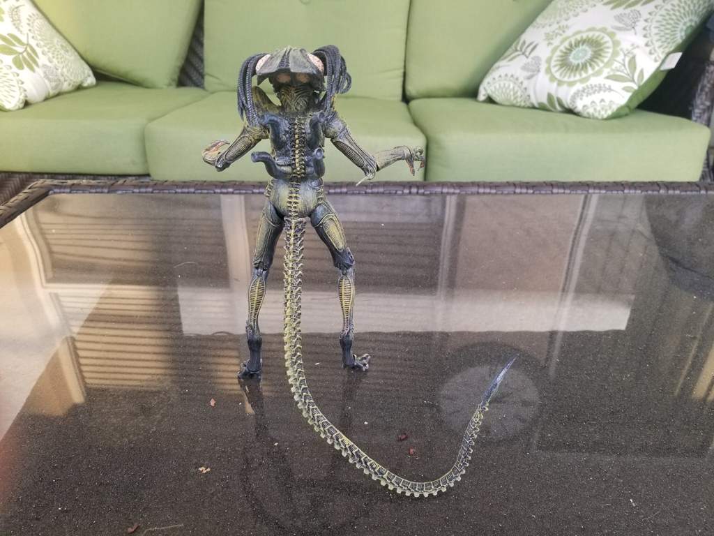 download predalien action figure