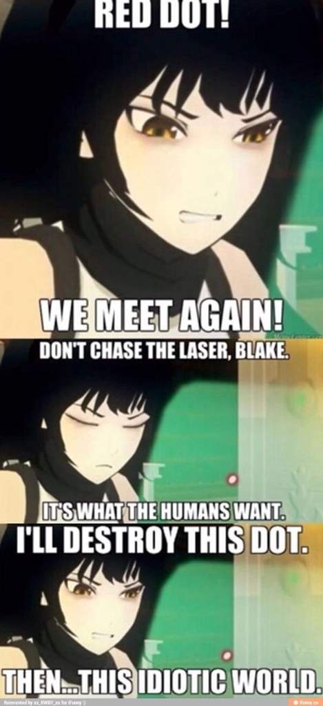 Mostly Blake Memes | RWBY Amino