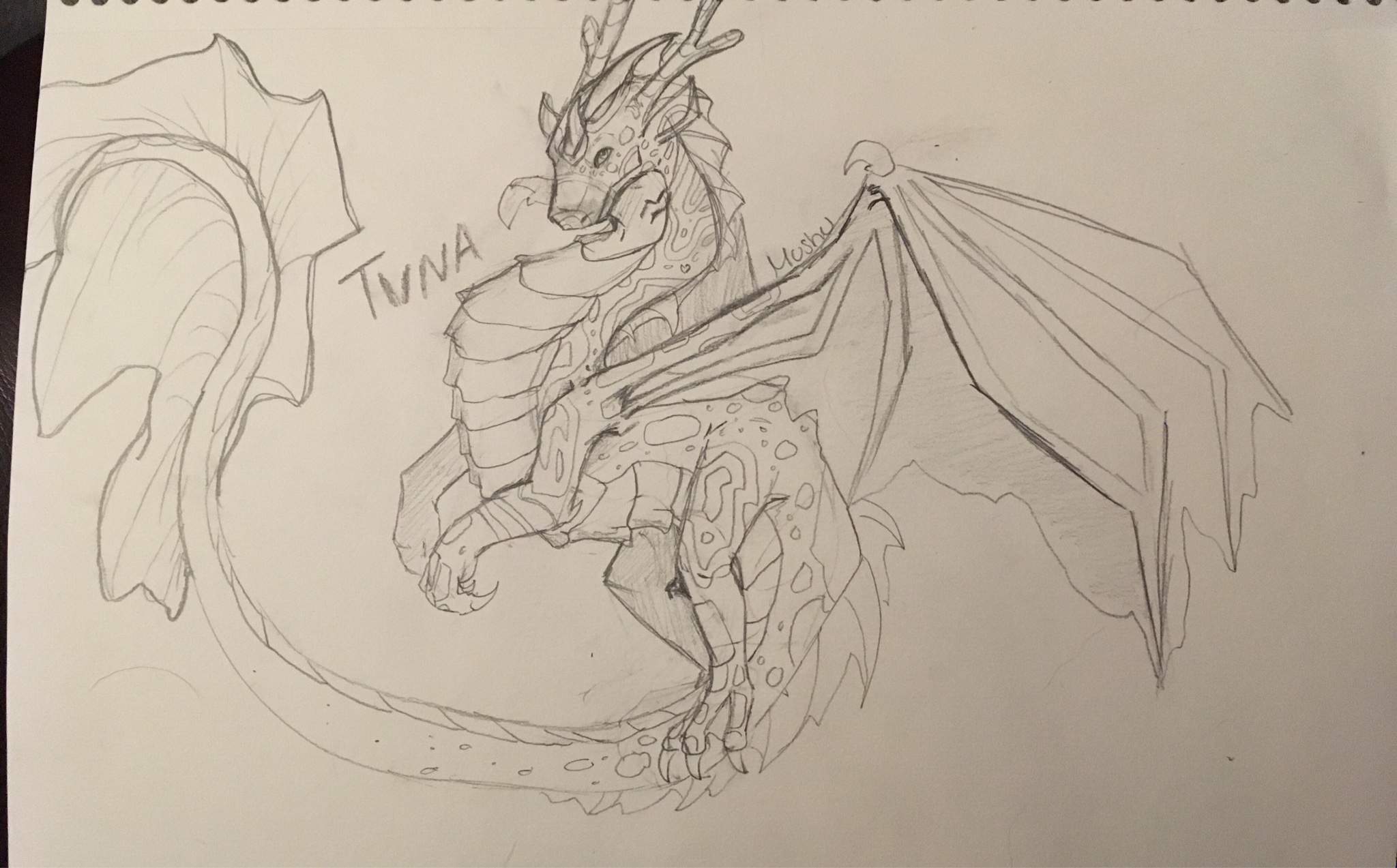 Full body: Tuna | Dragons! Amino