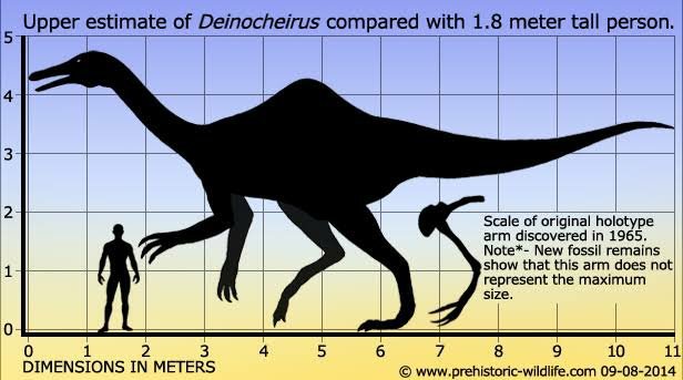 [Deinocheirus - Ficha] | Wiki | Dino World BR~PT Amino