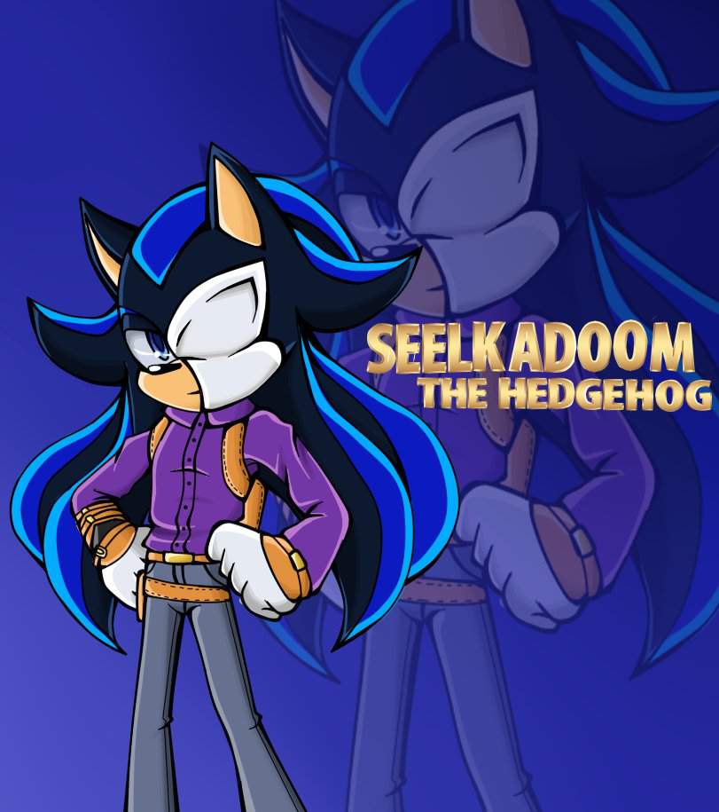 Seelkadoom The Hedgehog (Battle Mobius 3.0l | Wiki | Sonic Amino [RUS ...