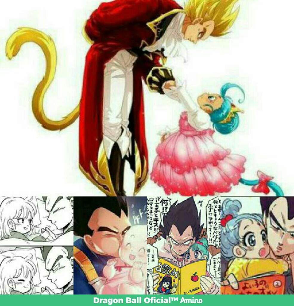 vegeta x bra