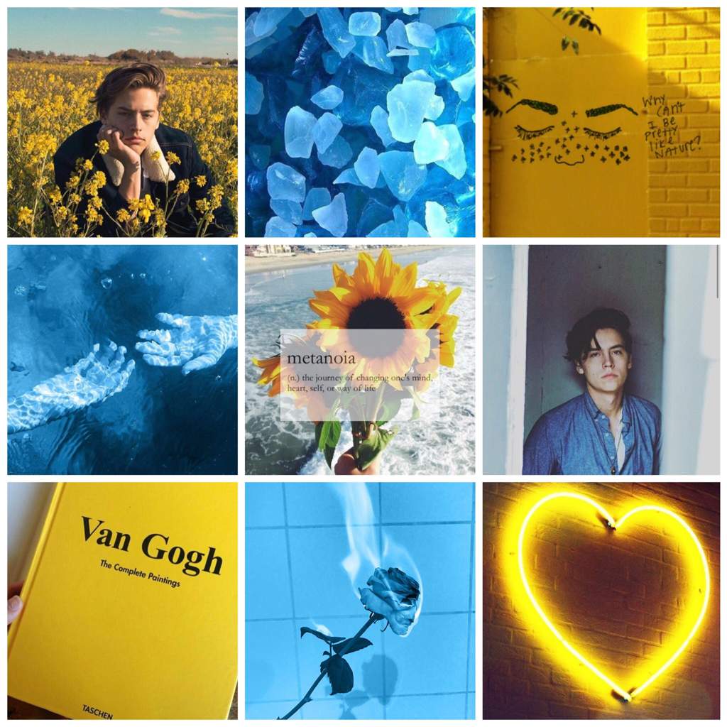 yellow and blue aesthetics aesthetics amino yellow and blue aesthetics aesthetics