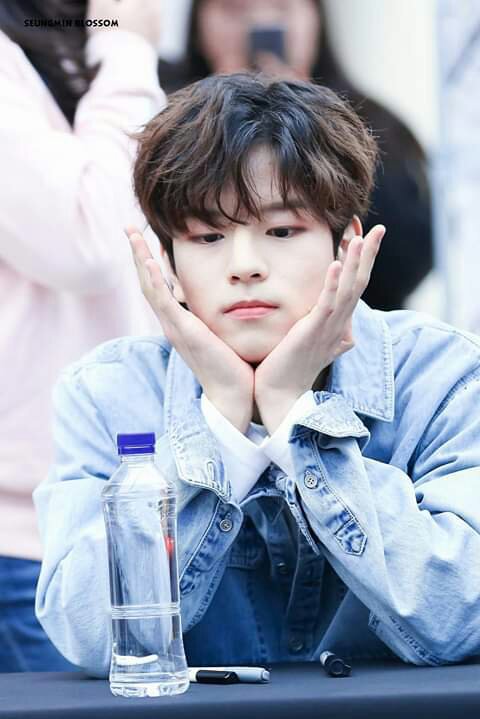 Seungmin💖 | Wiki | •STRAY KIDS AMINO• Amino