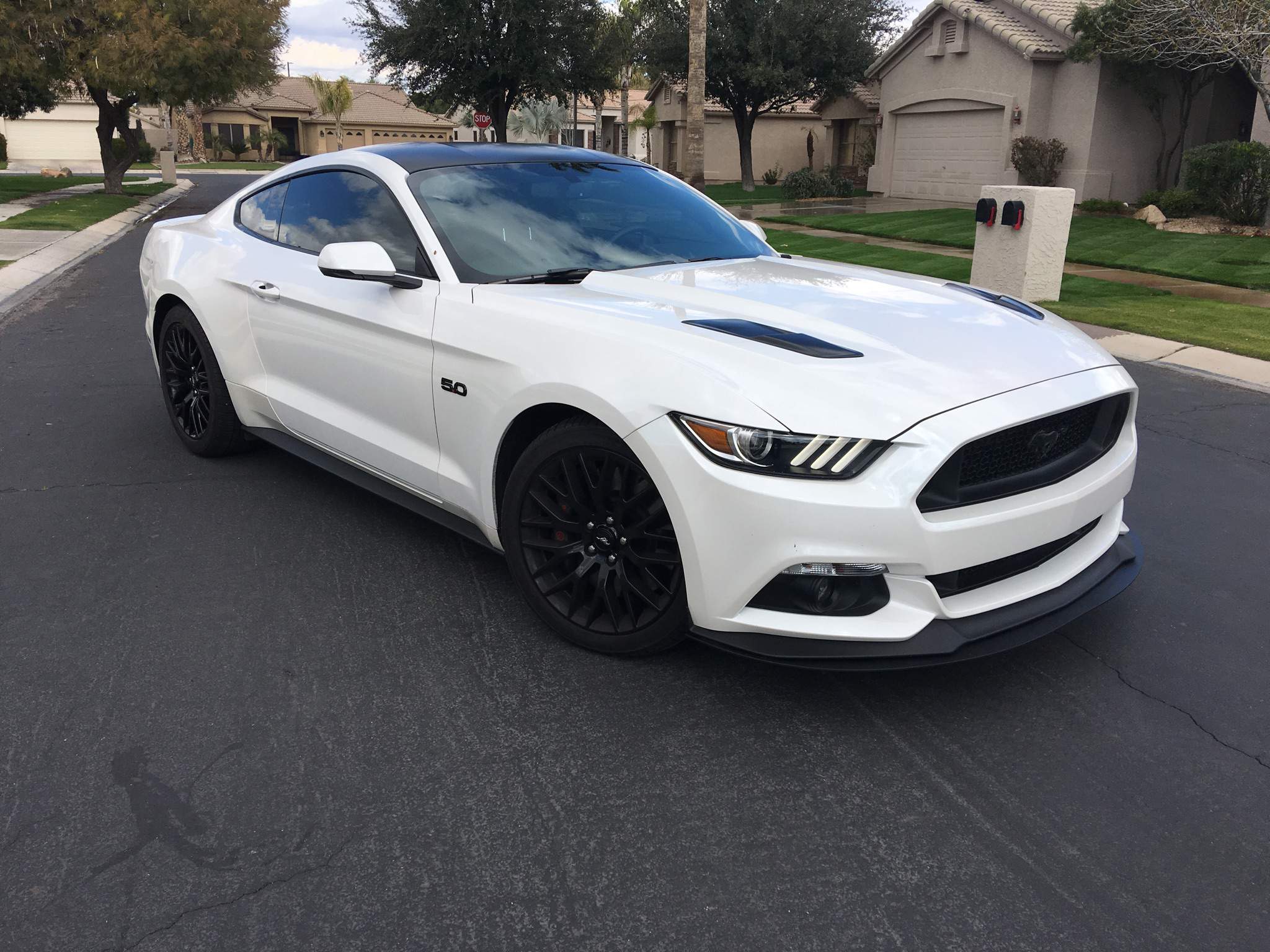 Mustang update 8: Blackout! | Garage Amino