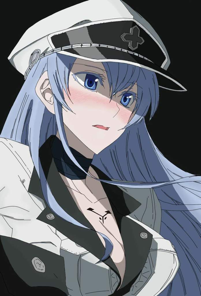 👑 Esdeath | Wiki | Anime Amino