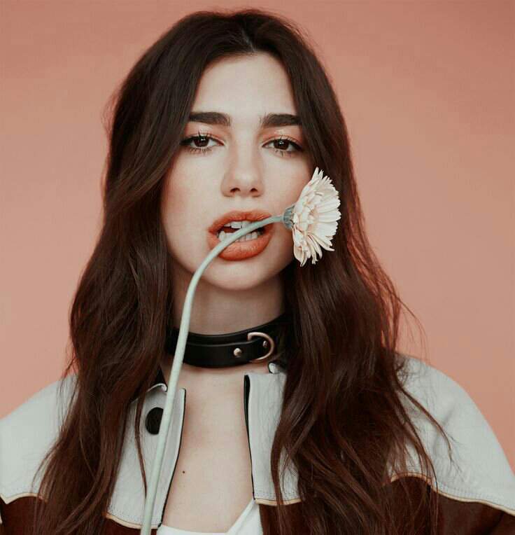 Separadores | Wiki | •Dua Lipa• Amino