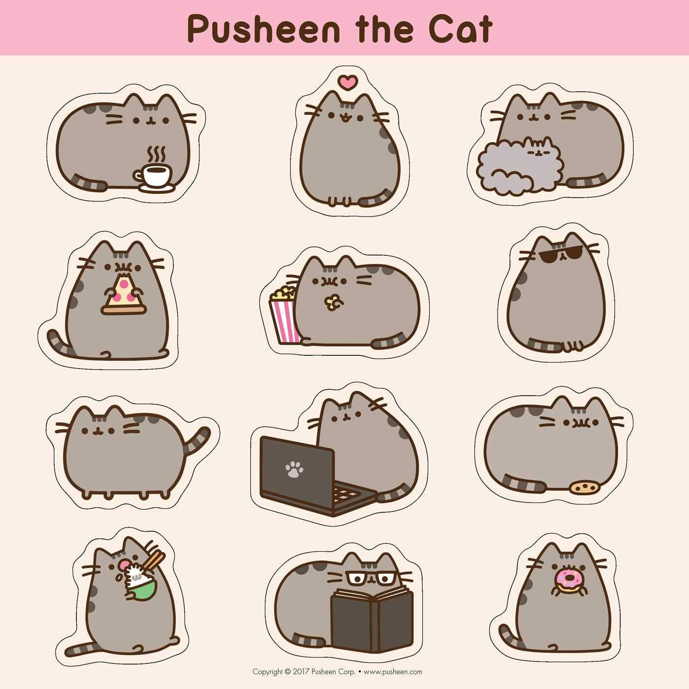 Pusheen the cat😚 | Pusheen France Amino