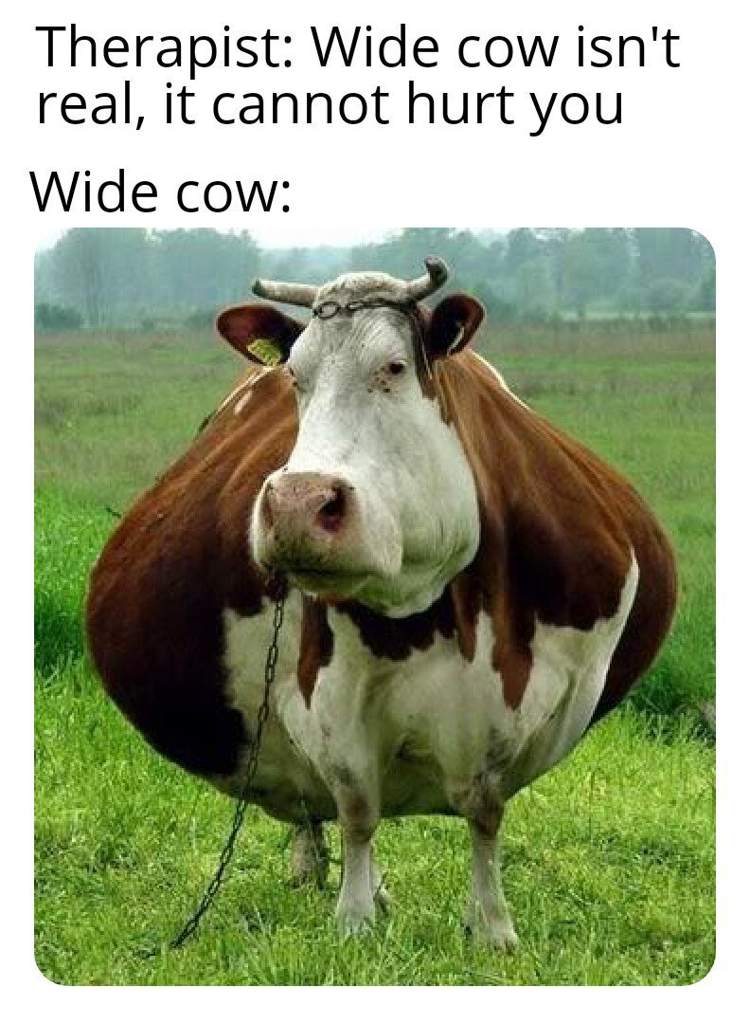 Cows aren't real | Dank Memes Amino