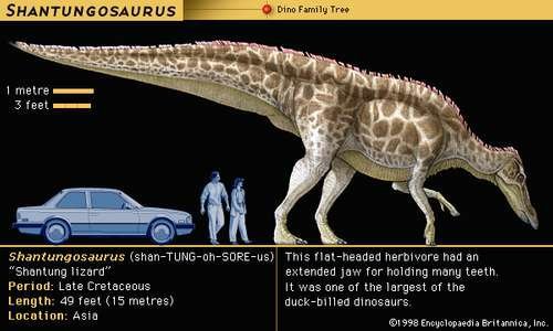 shantungosaurus jurassic world evolution