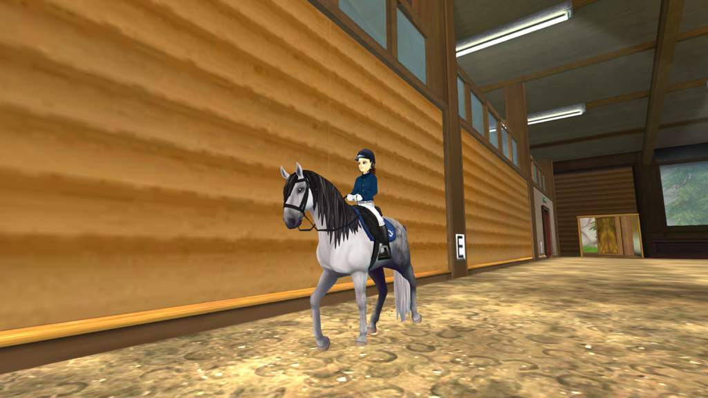 Dressur-Training mit Ash ️ | Star Stable Online DE Amino