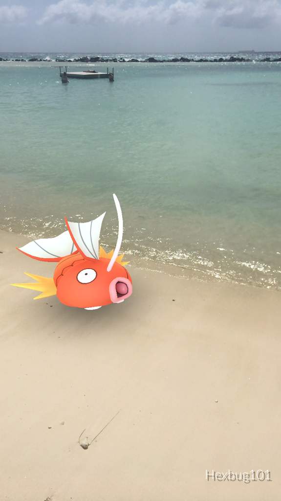 The natural habitat Pokemon GO Amino