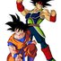 amino-Raditz-04599bba