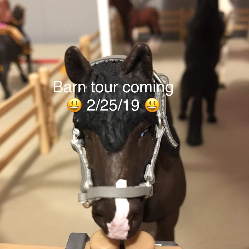 Barn Tour Coming 2 25 19 Schleich Horses Amino