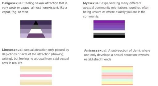 Ace spectrum orientations | Wiki | DEMISEXUALS Amino