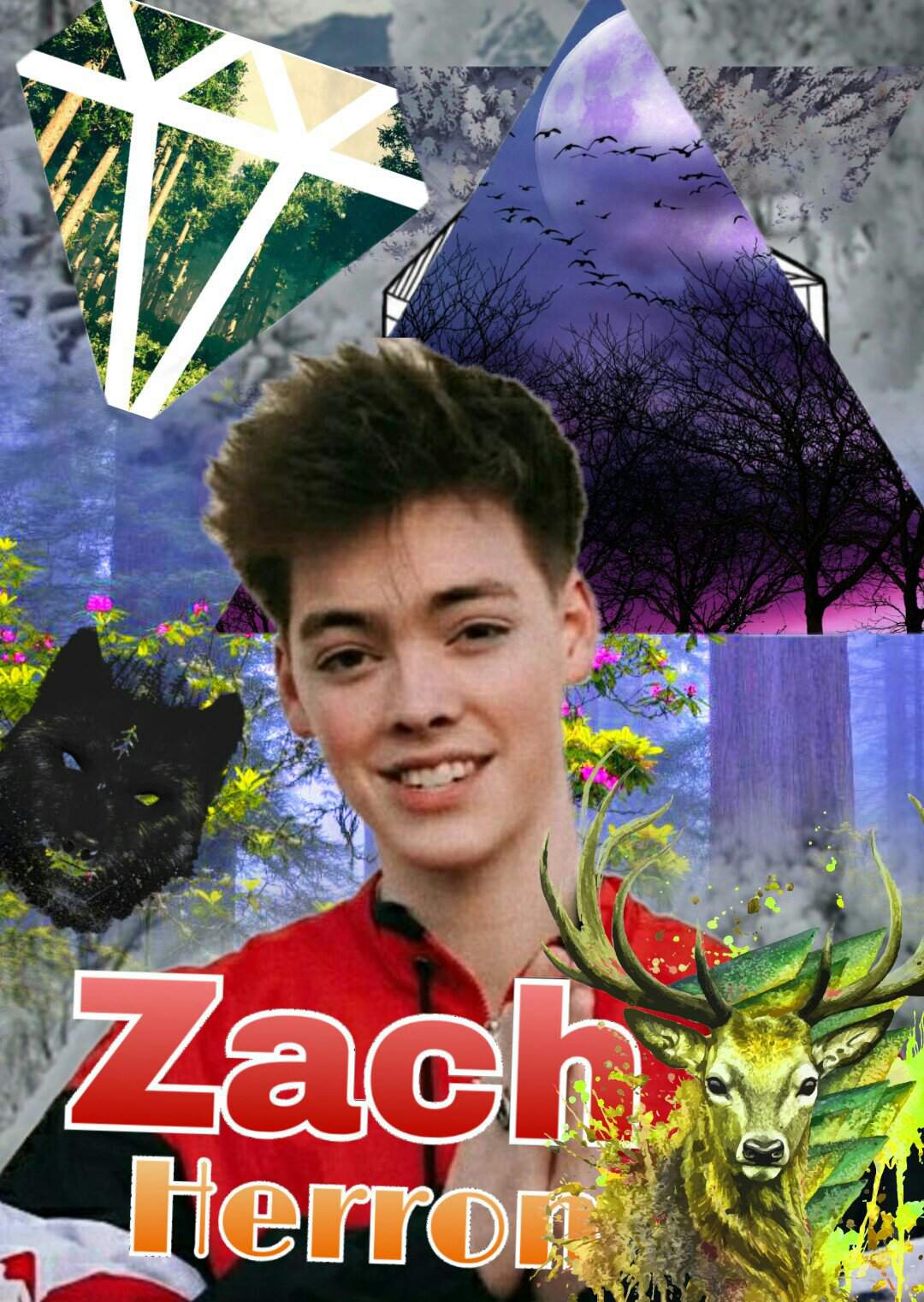 Zach | Wiki | Why Don't We Amino