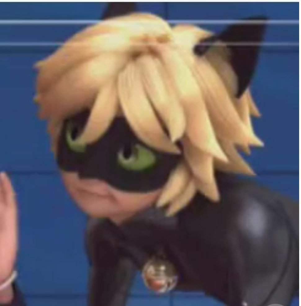 Funniest Cat Noir Screenshots Miraculous Amino