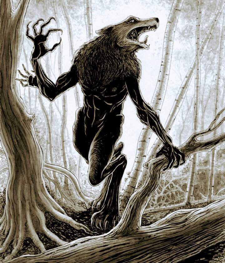 Image result for skinwalker