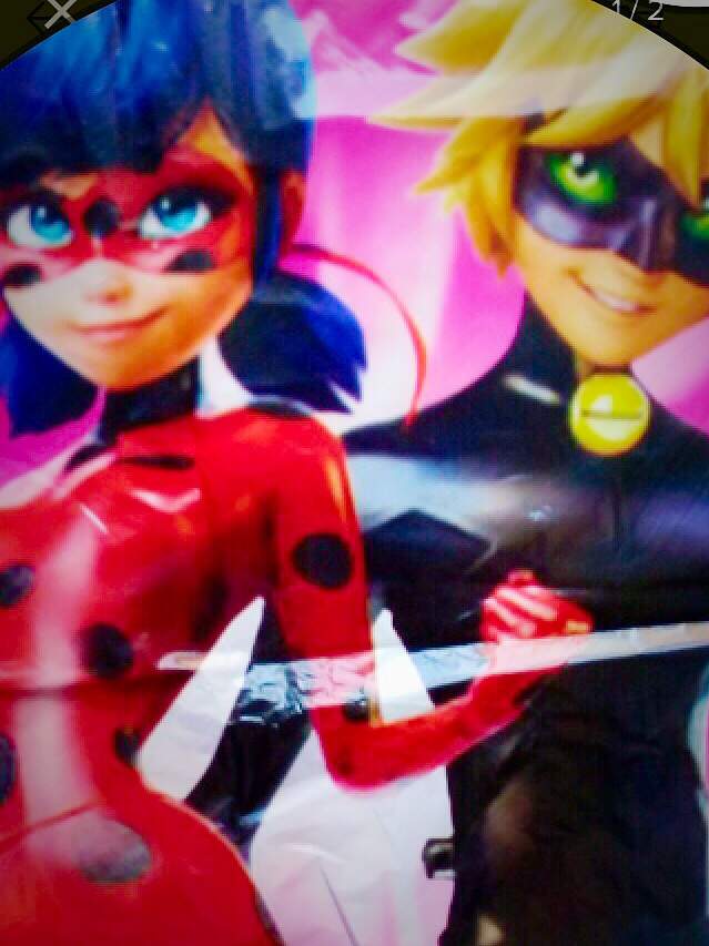 Ladibug Y Cat Noir 👑♥♥miraculous Ladybug♥ 👑 Amino 3983