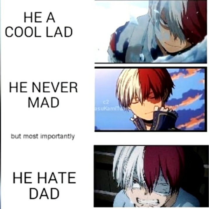 Shouto Todoroki Memes 