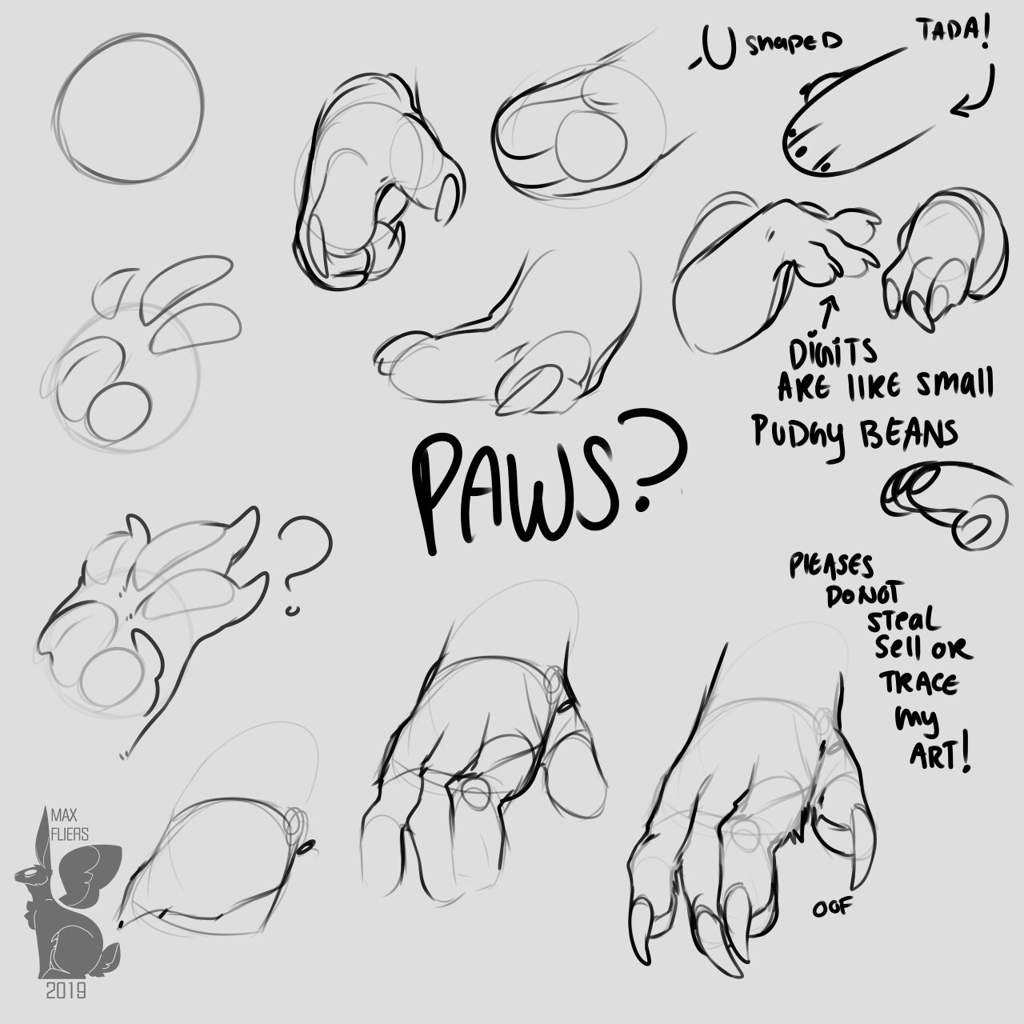 Paw reference/tutorial Furry Amino