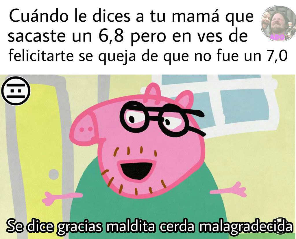 Se dice gracias maldita cerda malagradecida | •Meme• Amino