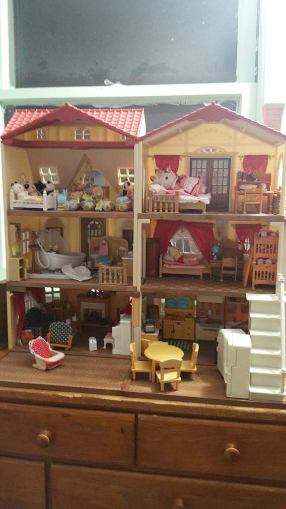 How should i set up my house •Calico Critter Amino• Amino