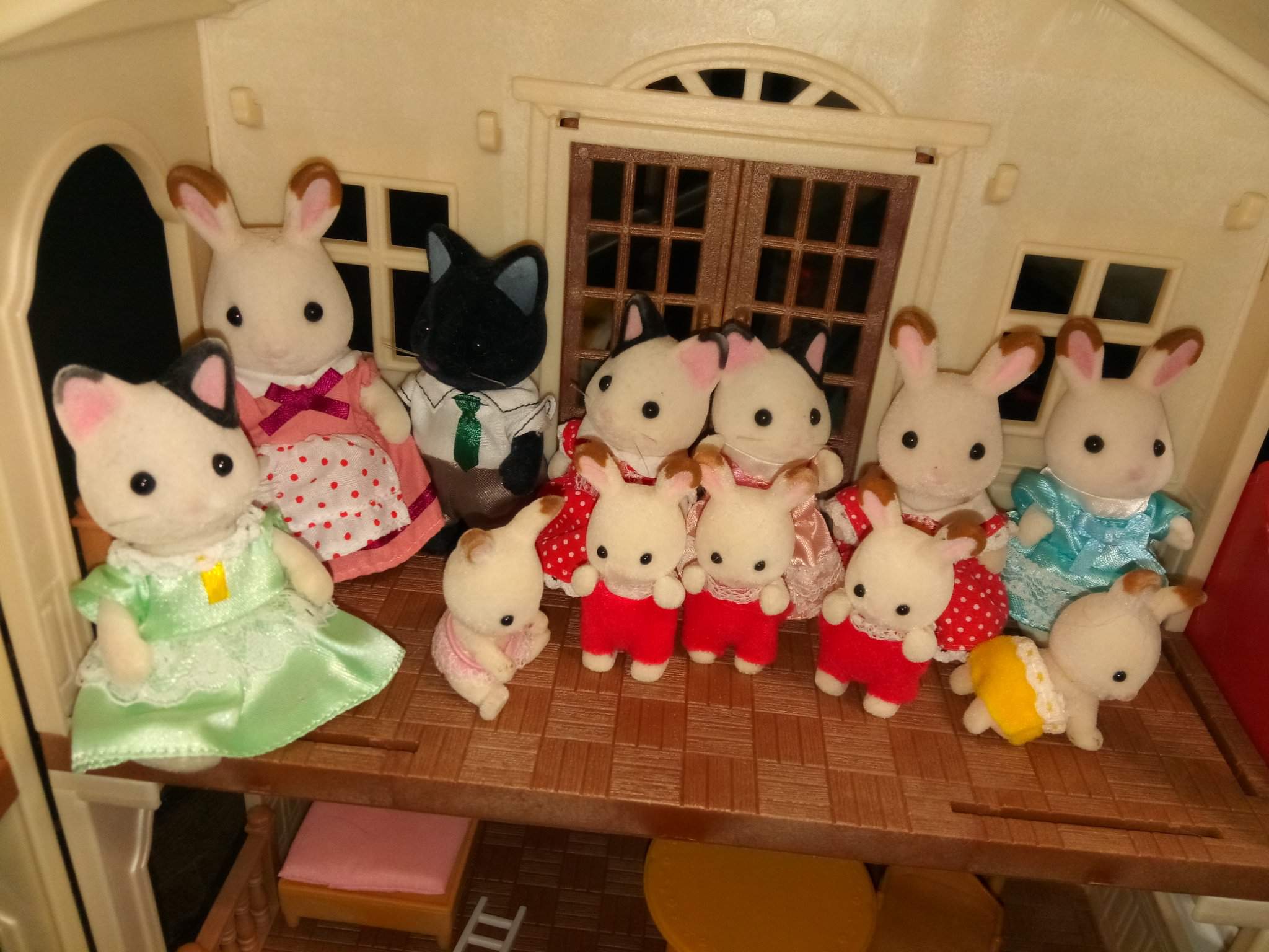 An updated family portrait. AKA ALL my calico critters | Calico ...