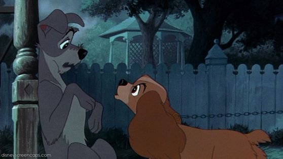 🐶 A Lady And The Tramp 2 Retrospective | Disney Amino