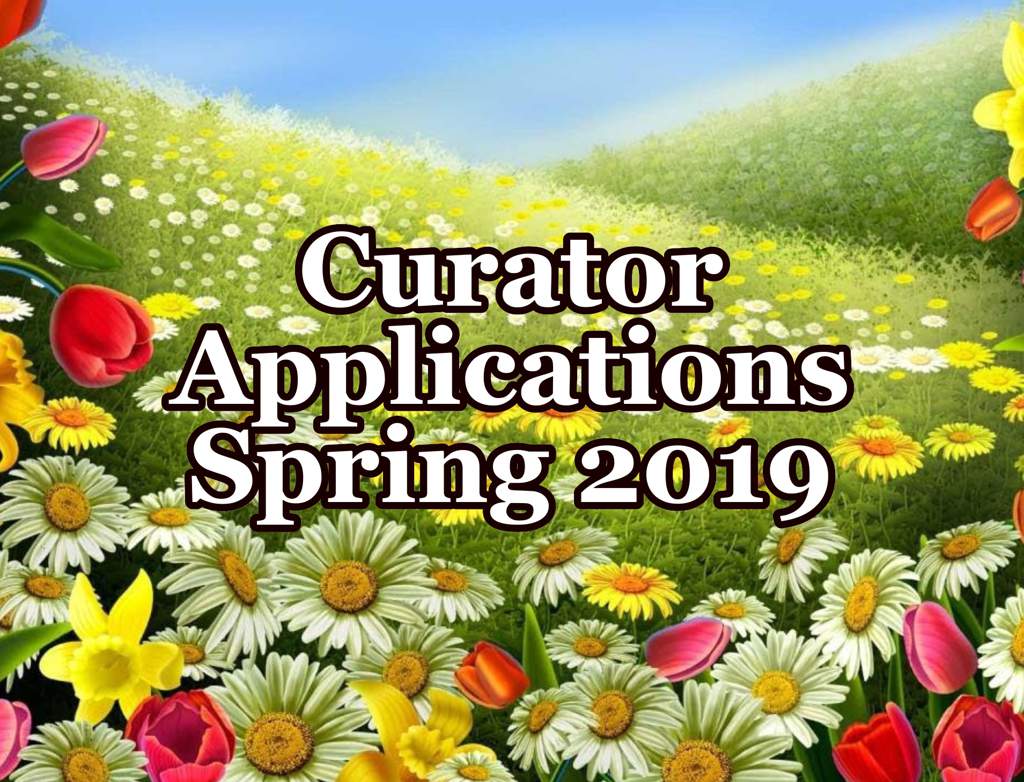 Curator Applications For Spring 2019 Roblox Amino - roblox