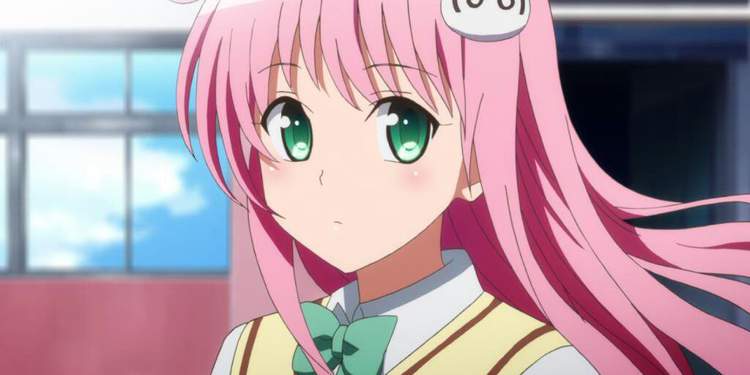 About  Motto To-LOVE-Ru Amino