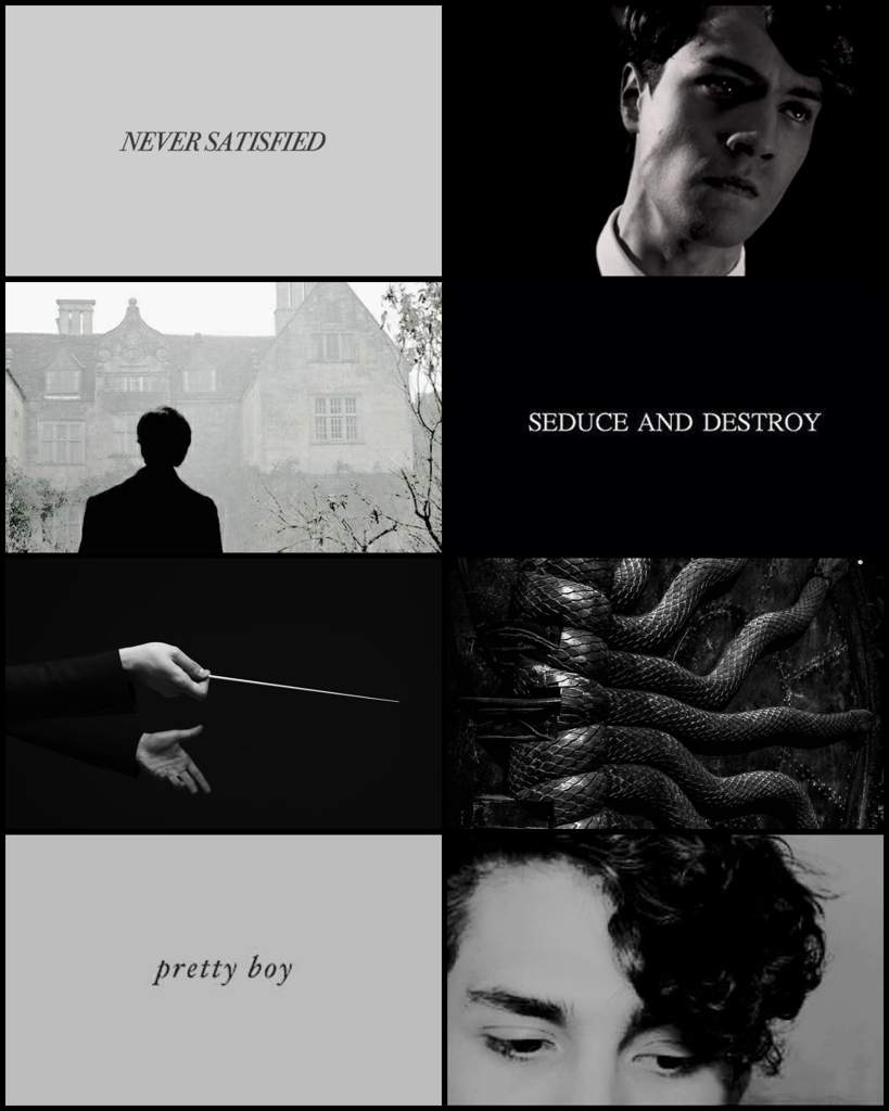 Tom Marvolo Riddle _ Voldemort | aesthetic moodboards | Harry Potter Amino