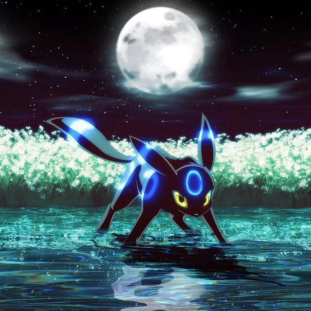 Luna the shiny umbreon | Wiki | Pokémon Amino