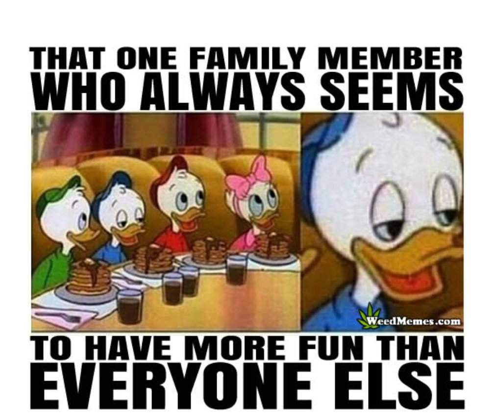 Featured image of post Internet Meme Donald Duck Meme : Updated daily, for more funny memes check our homepage.