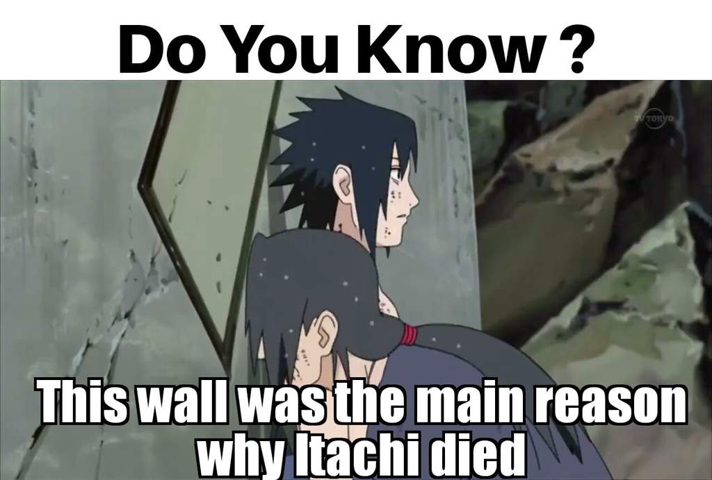 Sasuke Memes | Naruto Amino