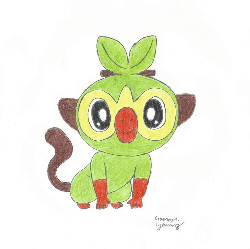 Grookey Drawing | Pokémon Amino