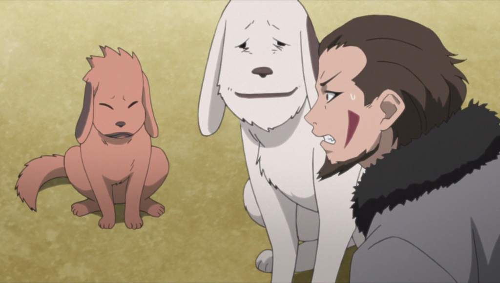 What Is Kiba's Dogs Name - Anime For You