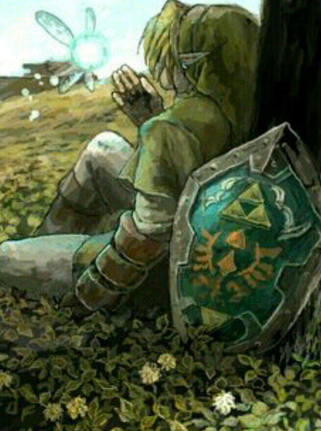 The Hero Of Time Wiki Zelda Amino